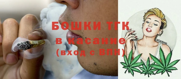 шишки Балабаново