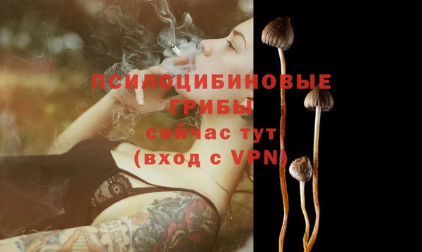 COCAINE Балахна