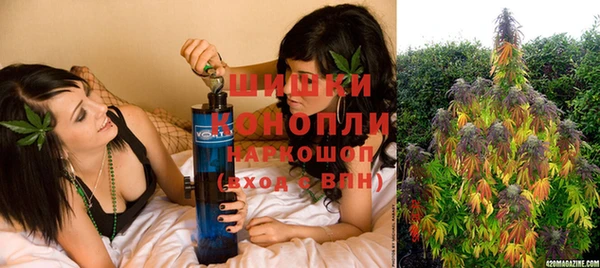 шишки Балабаново