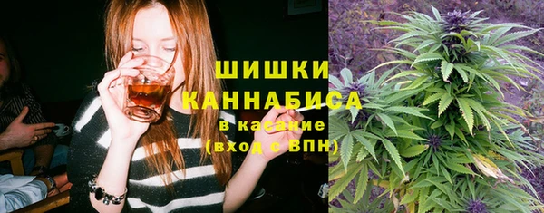 шишки Балабаново