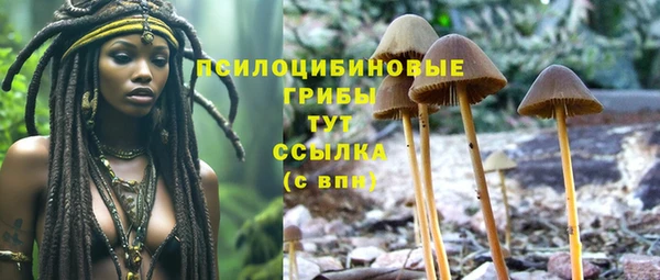 шишки Балабаново