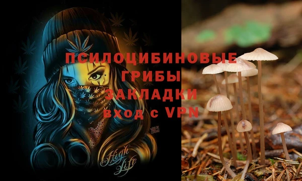 COCAINE Балахна