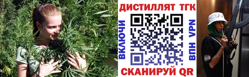 Купить закладки  Боровичи  ТГК гашишное масло 