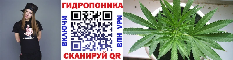 Купить закладки  Боровичи  Канабис марихуана 